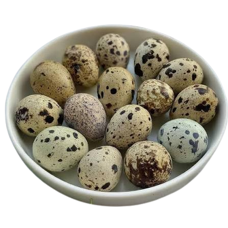 Legit Quail Eggs